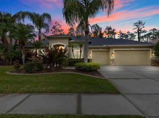 27121 Brush Creek Way, Zephyrhills, FL 33544