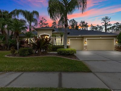 27121 Brush Creek Way, Zephyrhills, FL, 33544