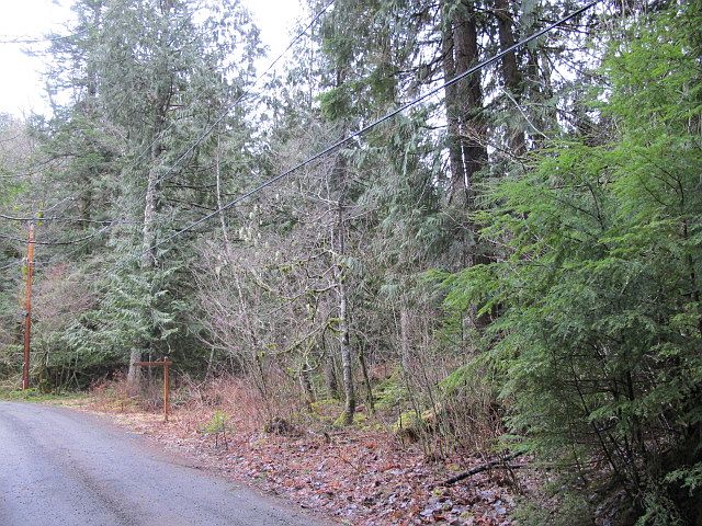 2nd image of 58726 Lumpy Ln E
