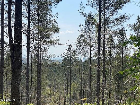 4th image of 5 County Road 351