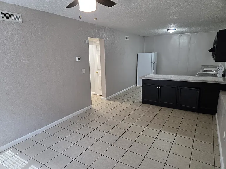 Living Room and Kitchen