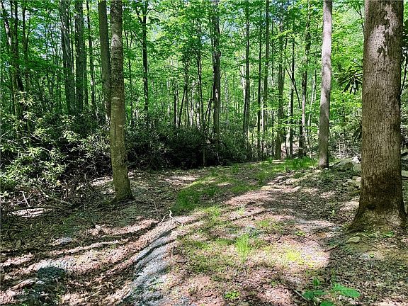 2nd image of Lot 5A Buckeye Ridge Road