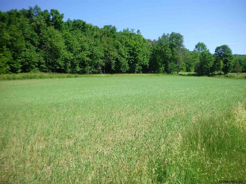 2nd image of SCHOHARIE HILL Road