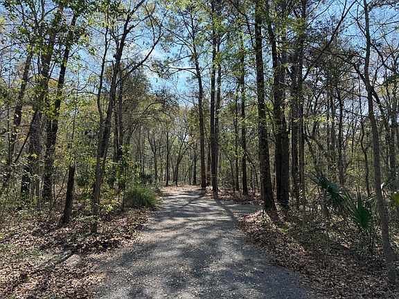 4th image of 6321 Bears Bluff Rd