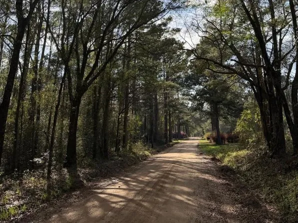 LOT 4 Old Faceville Rd, Bainbridge, GA 39819