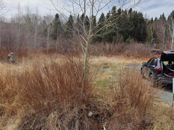 229 Main Street N, Glovertown, NL A0G2L0