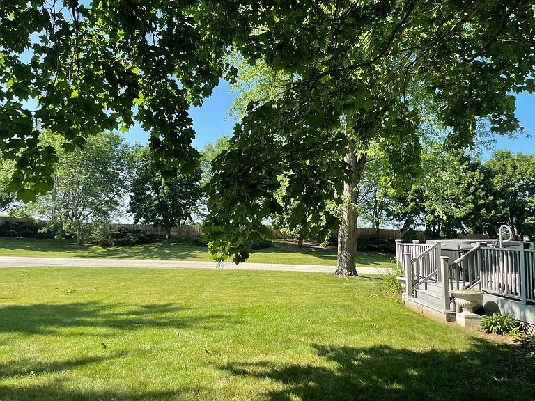 BACKYARD 6_06252024