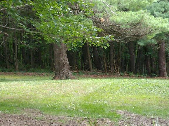 3rd image of 4911 Chipmunk Dr