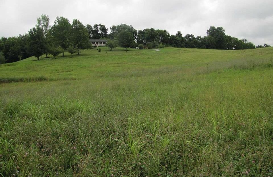 2nd image of Jones Franklin Rd