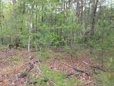3 Overlook Dr, Chatsworth, GA, 30705
