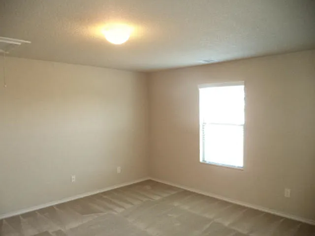 12311 Turchin Dr — Photo 15