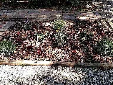 3 bed, 1092 sqft, $1,300 — Photo 3