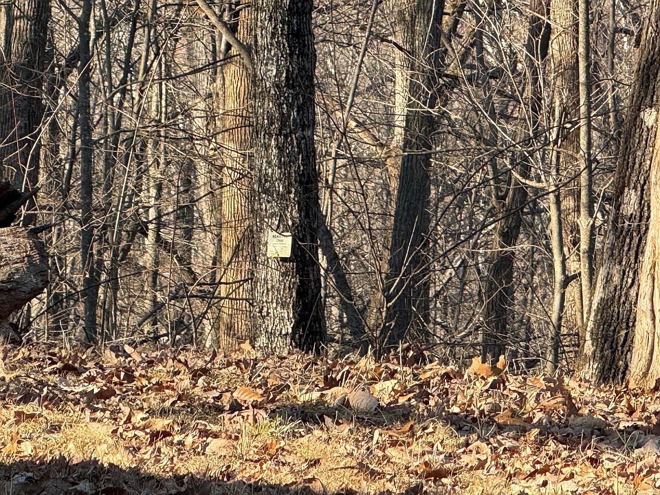 1st image of 41 Reynolds Rd