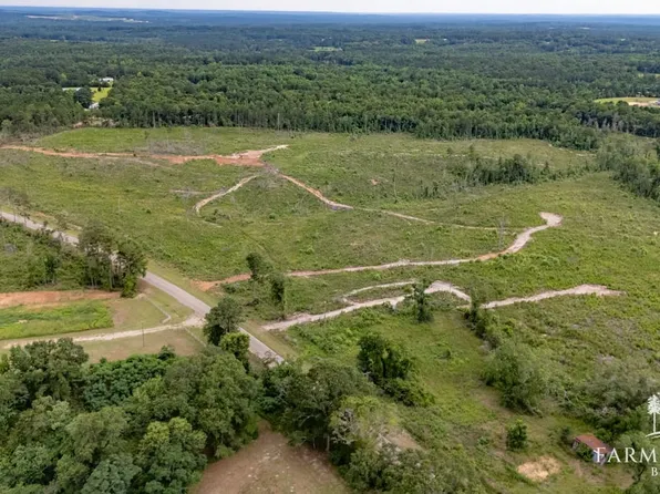 0 County Road 208, Jack, AL 36346
