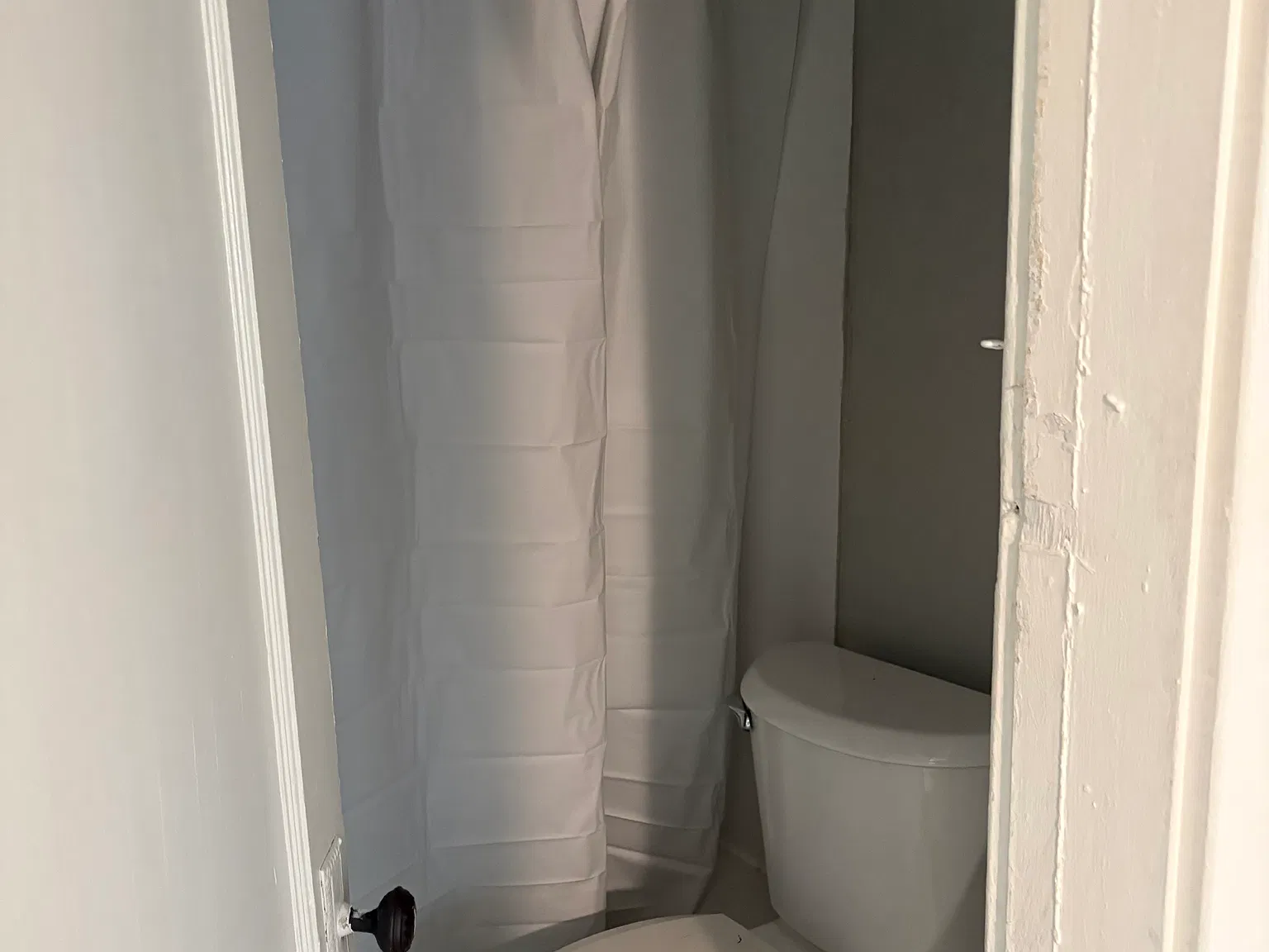 1 bed, 800 sqft, $1,000 — Photo 3