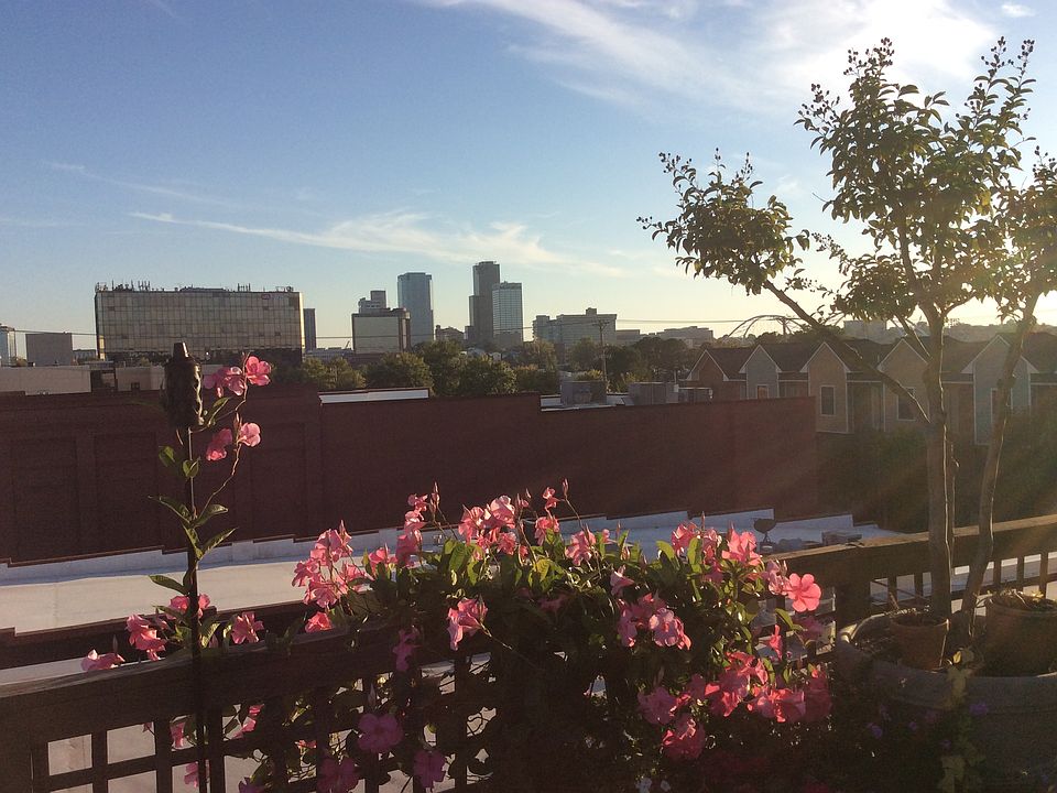 skyline view from roof deck 
