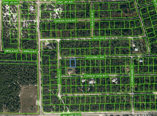 3262 Spoonbill Ave, Lake Placid, FL 33852