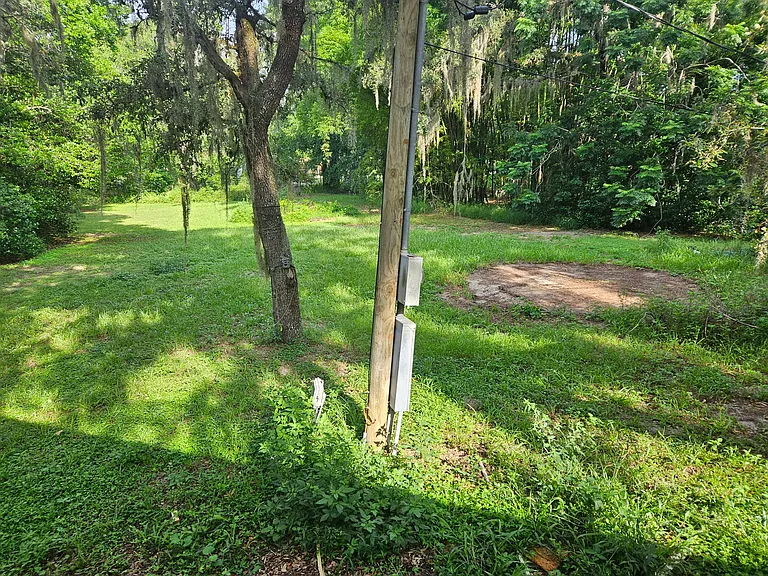 Beginning of backyard, lots of space, approx. 1 acre.