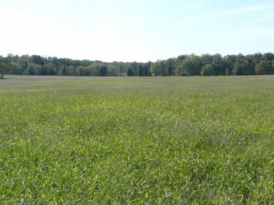 5390 Cedar Grove Rd, Big Sandy, TN, 38221