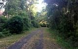 5th image of Mary Avenue Fernandina Beach Amelia Is