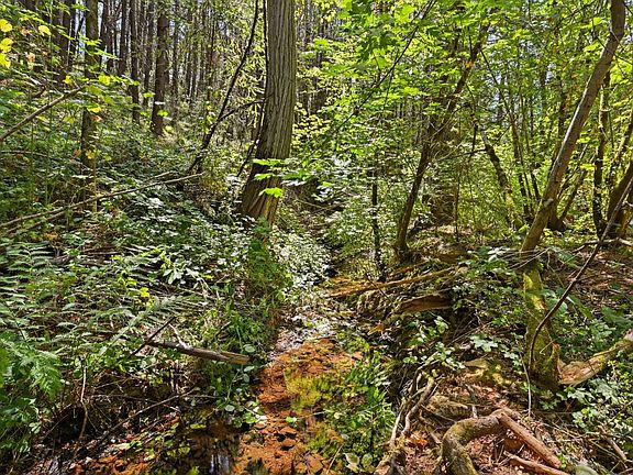 2nd image of 15487 Poorman Creek Rd