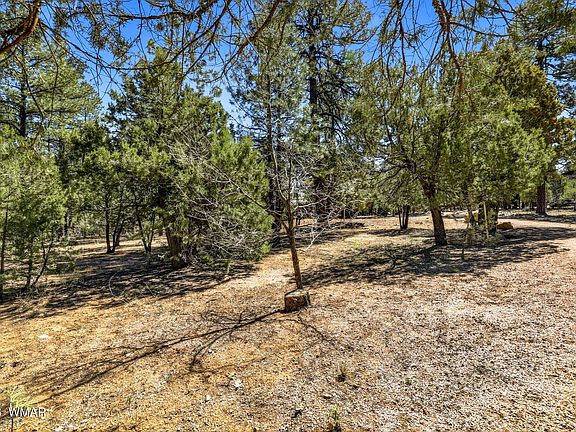 5th image of 5039 Winter Hawk Ct