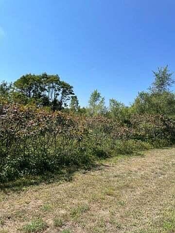 2nd image of 3326 Bluebird Ln