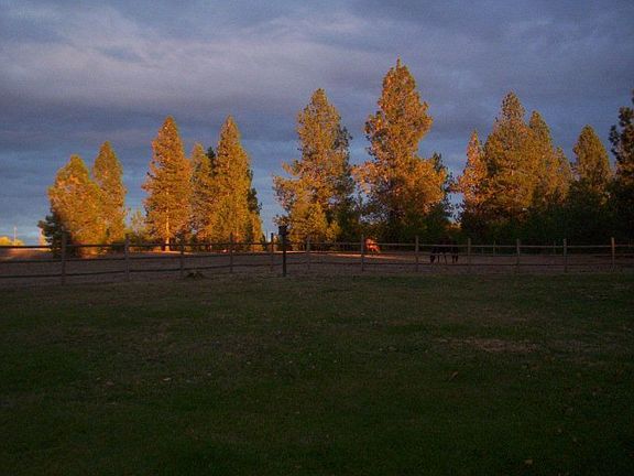View from back of house