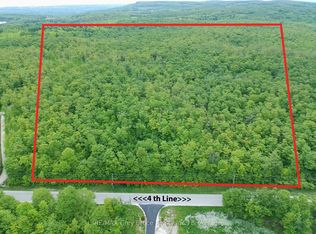 0 4th Line, The Blue Mountains, ON N0H2E0