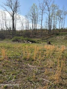 706 Arwine Rd, Decatur, TN, 37322
