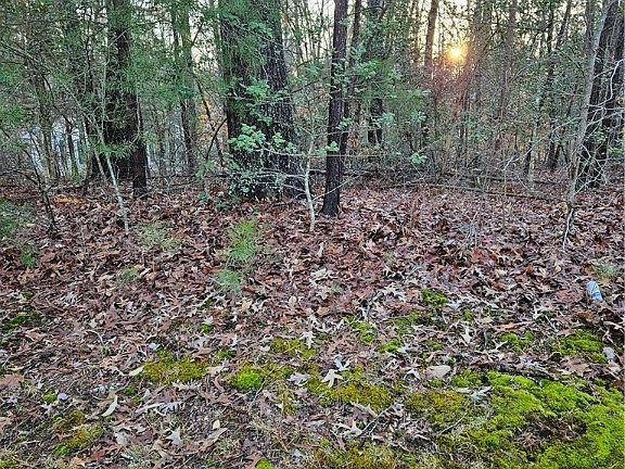 5th image of 291 Land Or Dr #83