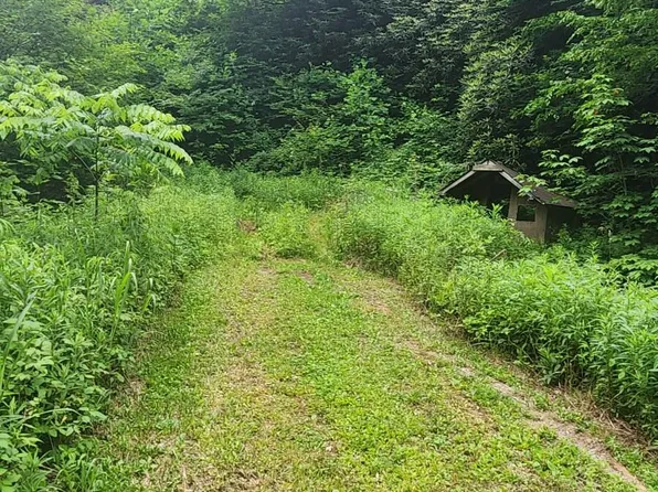719 Simerly Creek Rd, Hampton, TN 37658