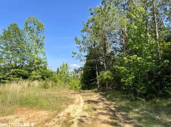 0 Fluker Kiel Rd, Coffeeville, AL 36524
