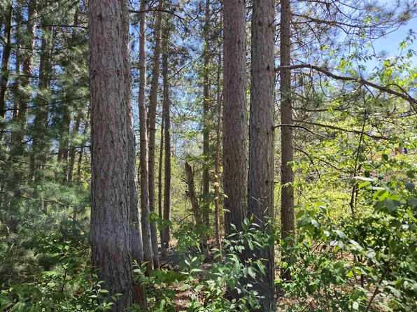 LOT 204 Raven Dr, New Lisbon, WI 53950
