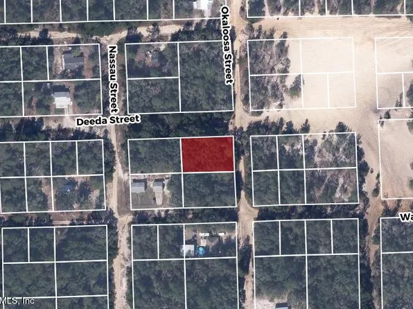 607 DEEDA Street, Florahome, FL 32140