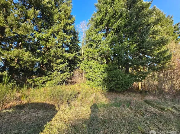 0 Clinton Road, Chehalis, WA 98532