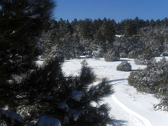 Winter West View