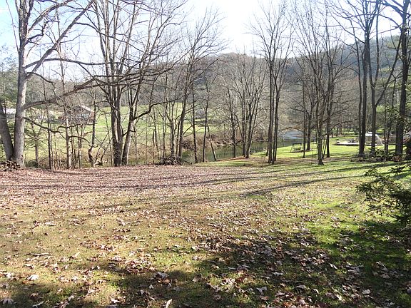Backyard!