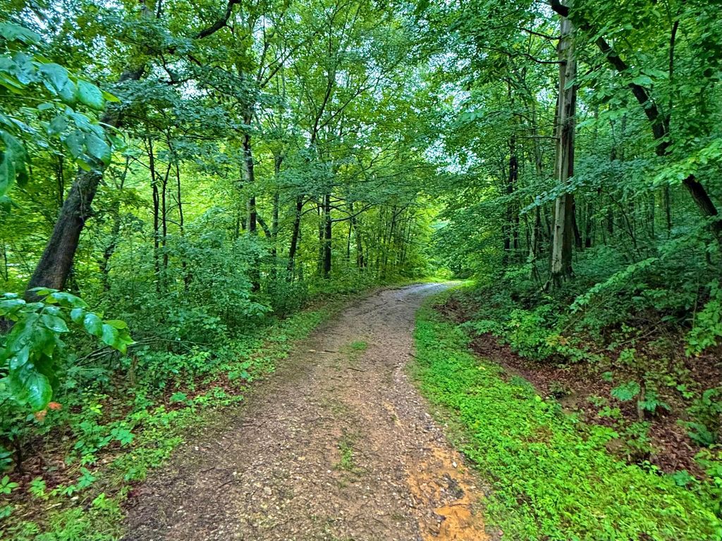 Real estate listing image