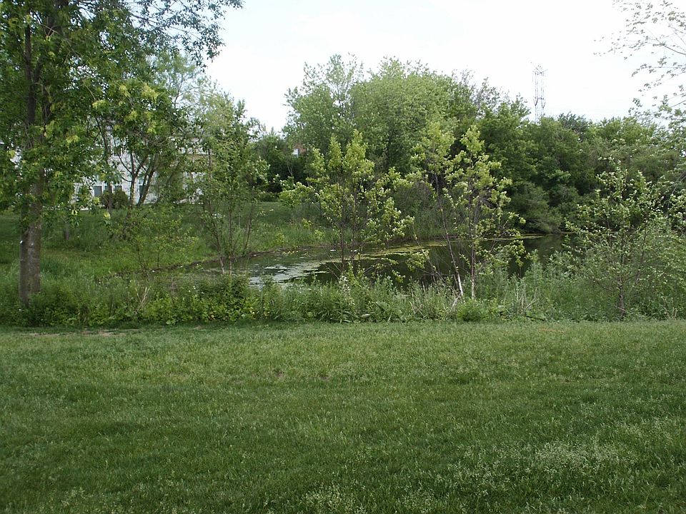 Backyard view from porch