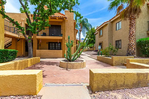 8255 N Oracle Rd #210 Photo 1