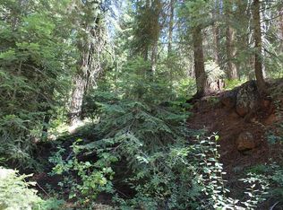 55091 Alder Dr, Springville, CA