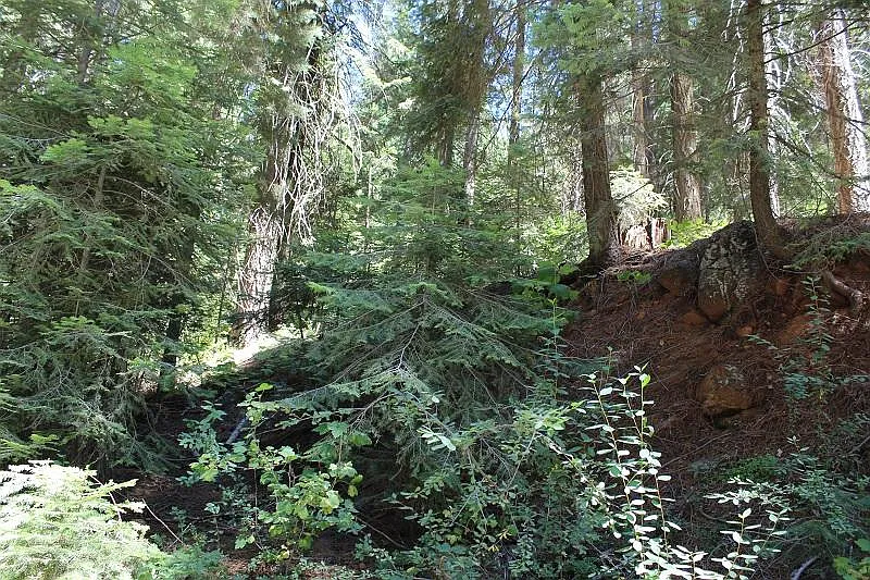 55091 Alder Dr photo 1