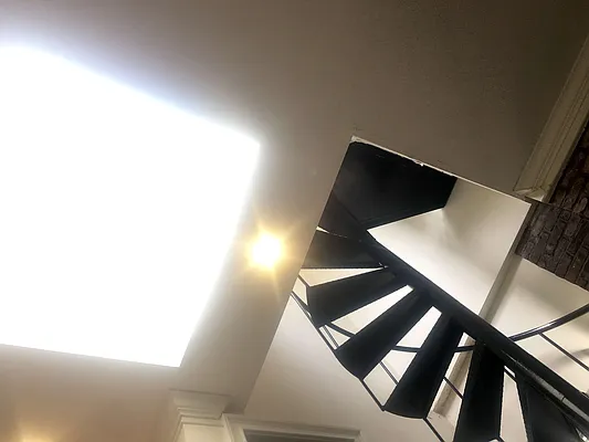 Rented by Dallien Realty Limited Liability Company | media 21