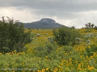 196 Eagle Loop, Craig, CO 81625