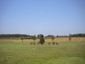 4th image of 10064 Nc Highway 41 S
