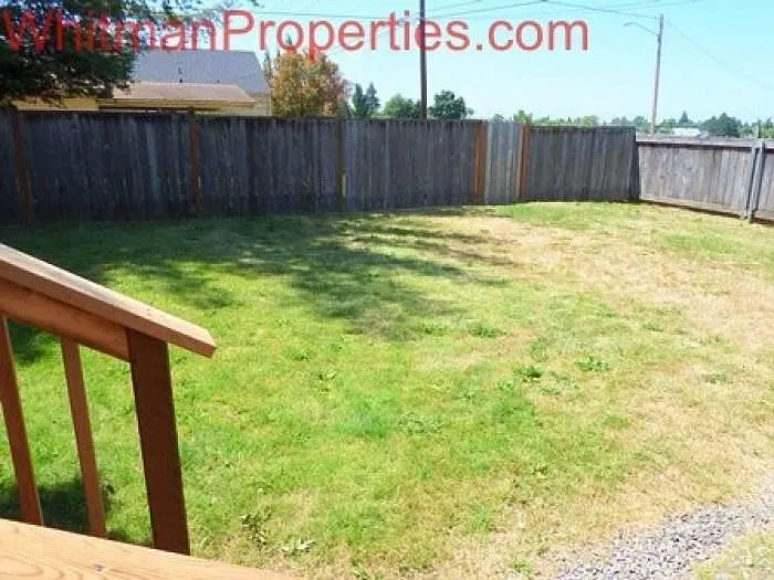 back yard