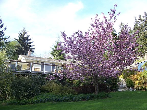 Front of house from the expansive lawn.