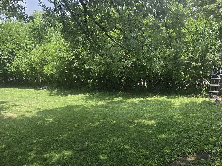 11412 Woodview Blvd — Photo 35