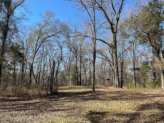 3rd image of 0 Farrar Davis Rd